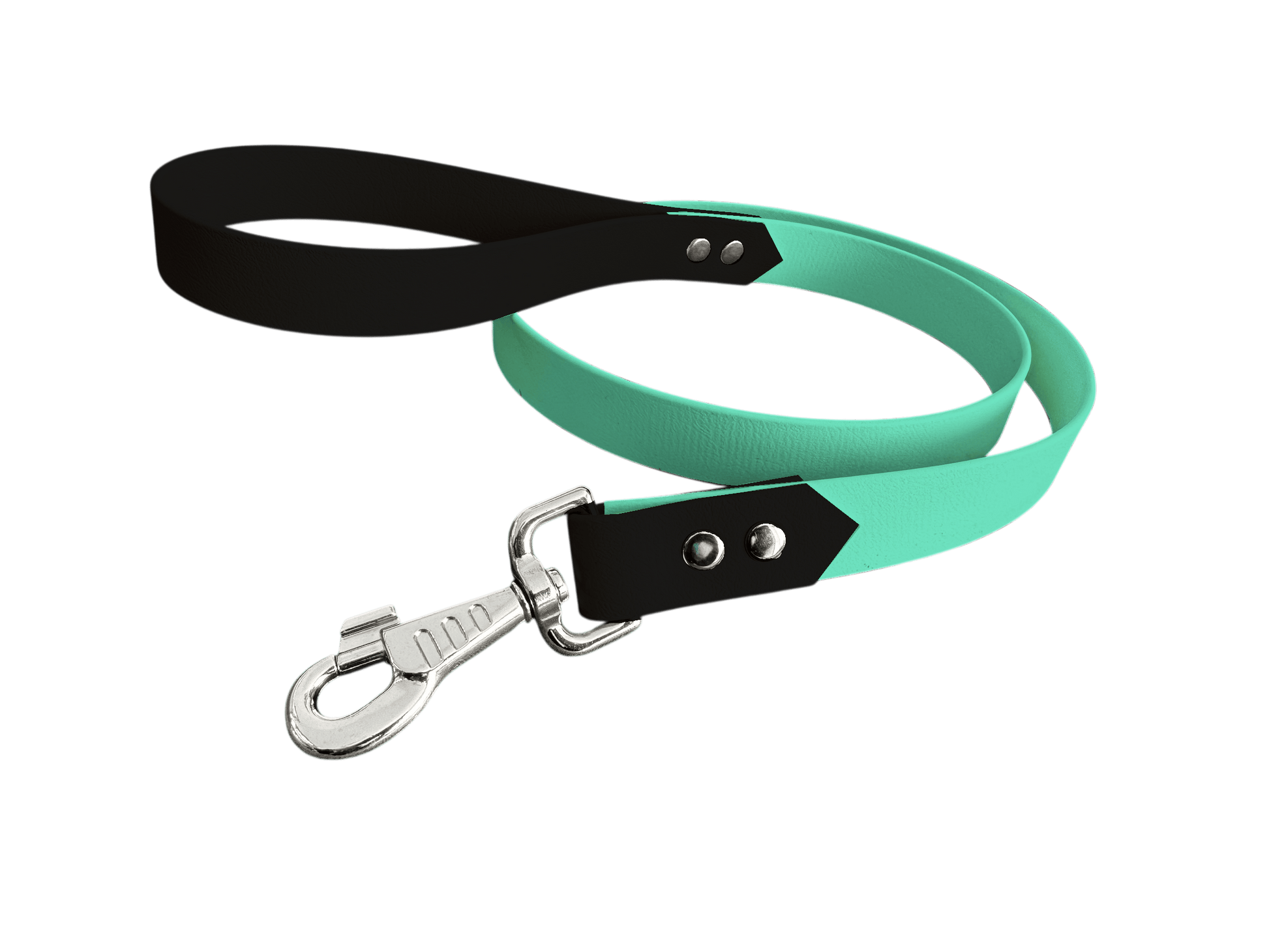 L'atelier du Fourmilier Laisse bicolore Vert Caribéen Laisse bicolore Classique en BioThane