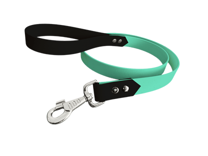 L'atelier du Fourmilier Laisse bicolore Vert Caribéen Laisse bicolore Classique en BioThane