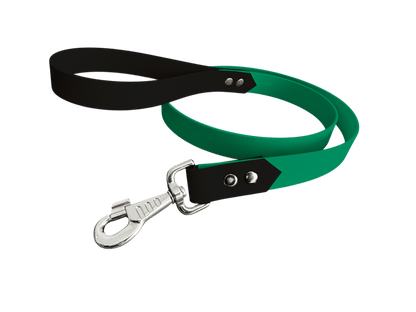 L'atelier du Fourmilier Laisse bicolore vert émeraude Laisse bicolore Classique en BioThane