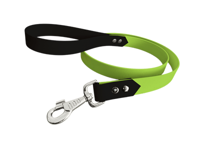 L'atelier du Fourmilier Laisse bicolore Vert Pomme Laisse bicolore Classique en BioThane