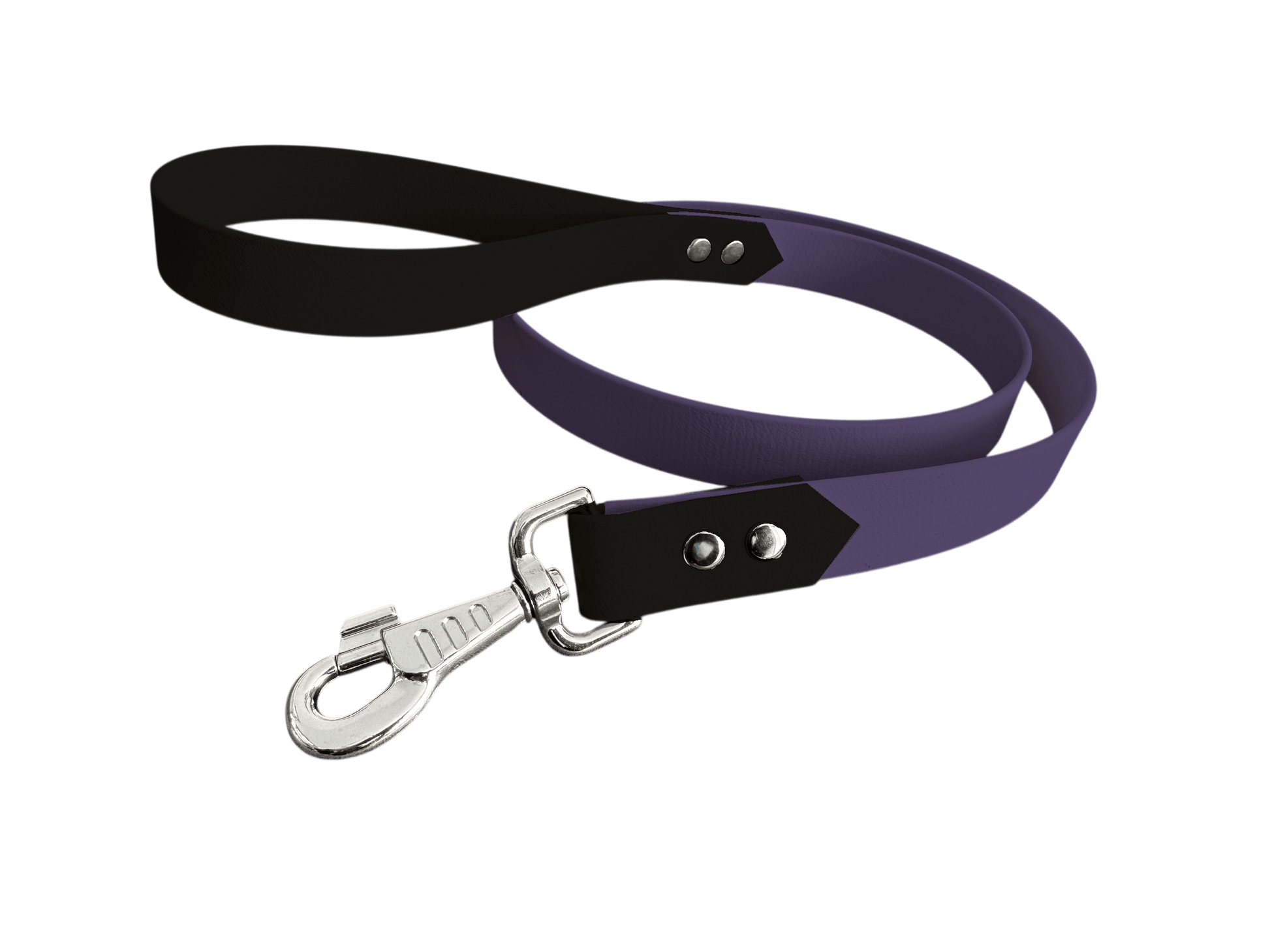 L'atelier du Fourmilier Laisse bicolore Violet Laisse bicolore Classique en BioThane