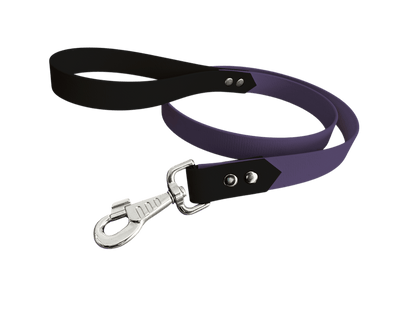 L'atelier du Fourmilier Laisse bicolore Violet Laisse bicolore Classique en BioThane