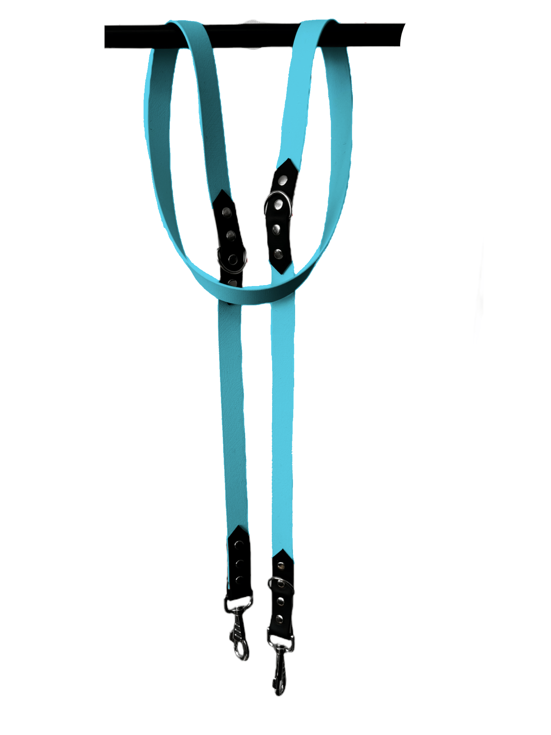 L'atelier du Fourmilier Laisse Bleu Clair Laisse Réglable 3 Positions