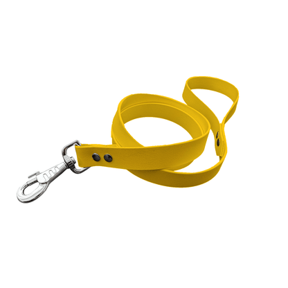 L'atelier du Fourmilier Laisse Jaune Laisse Classique en BioThane