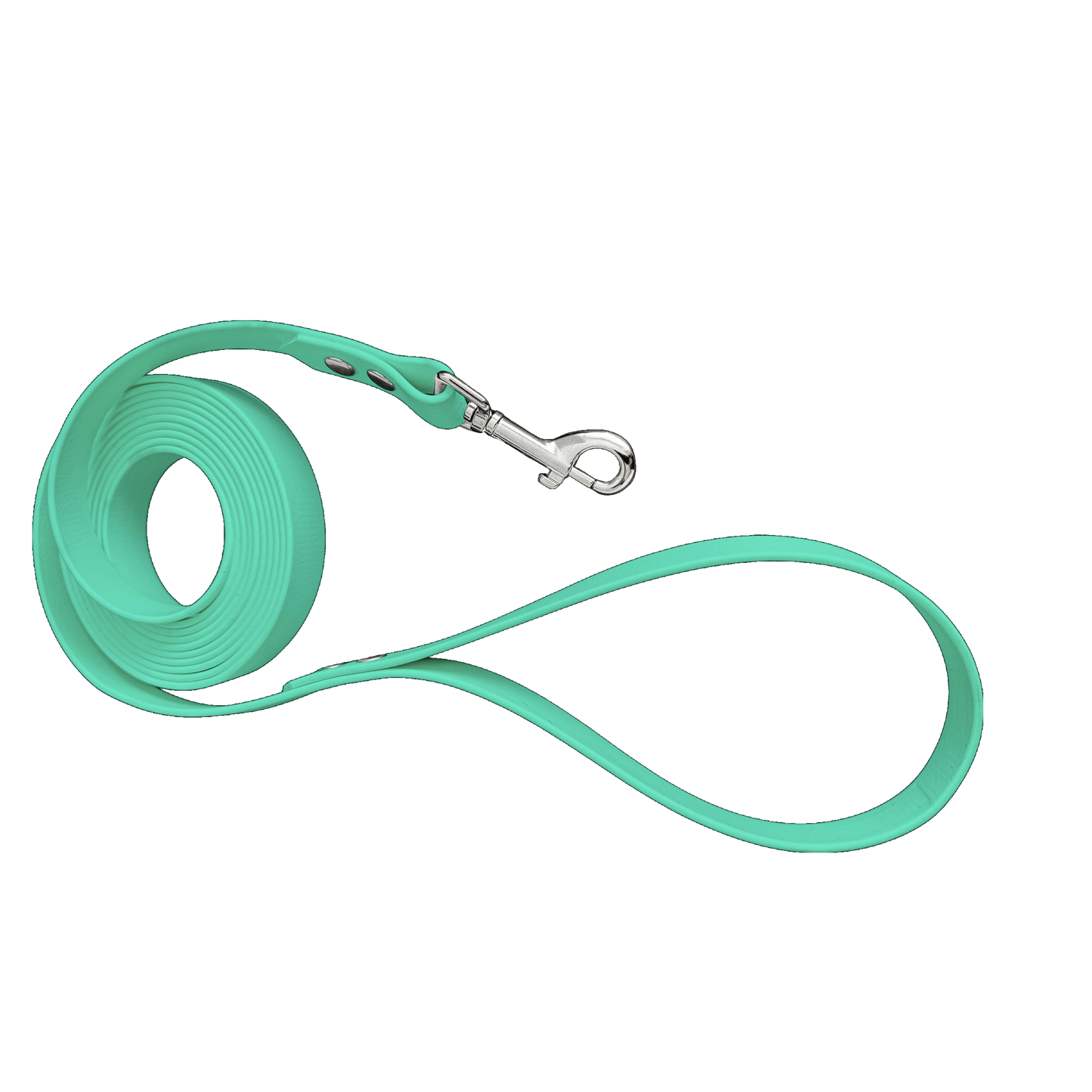 L'atelier du Fourmilier Laisse Longe en BioThane personnalisable – Largeurs 19 mm ou 25 mm – Longueur au choix jusqu'à 20 mètres