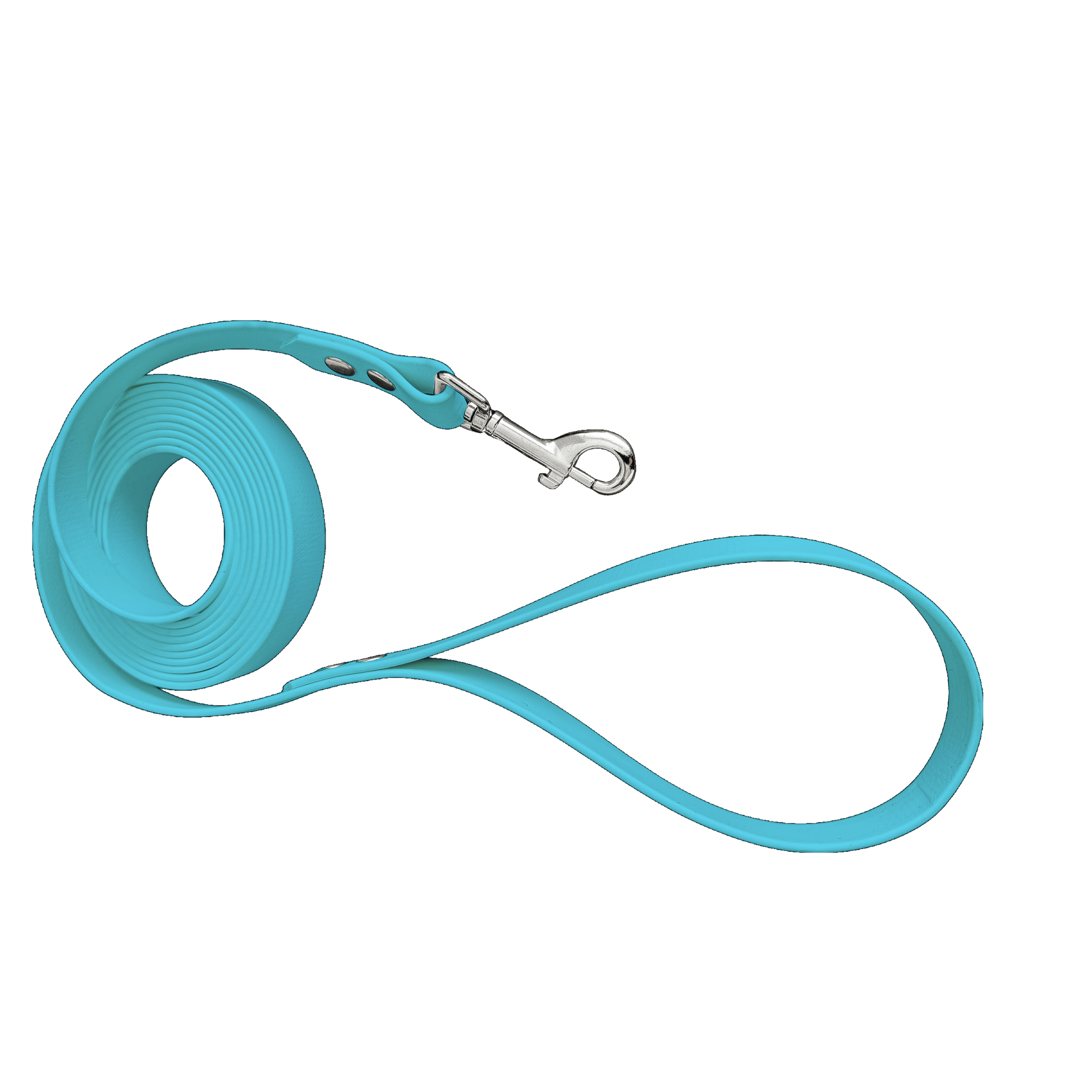 L'atelier du Fourmilier Laisse Longe en BioThane personnalisable – Largeurs 19 mm ou 25 mm – Longueur au choix jusqu'à 20 mètres