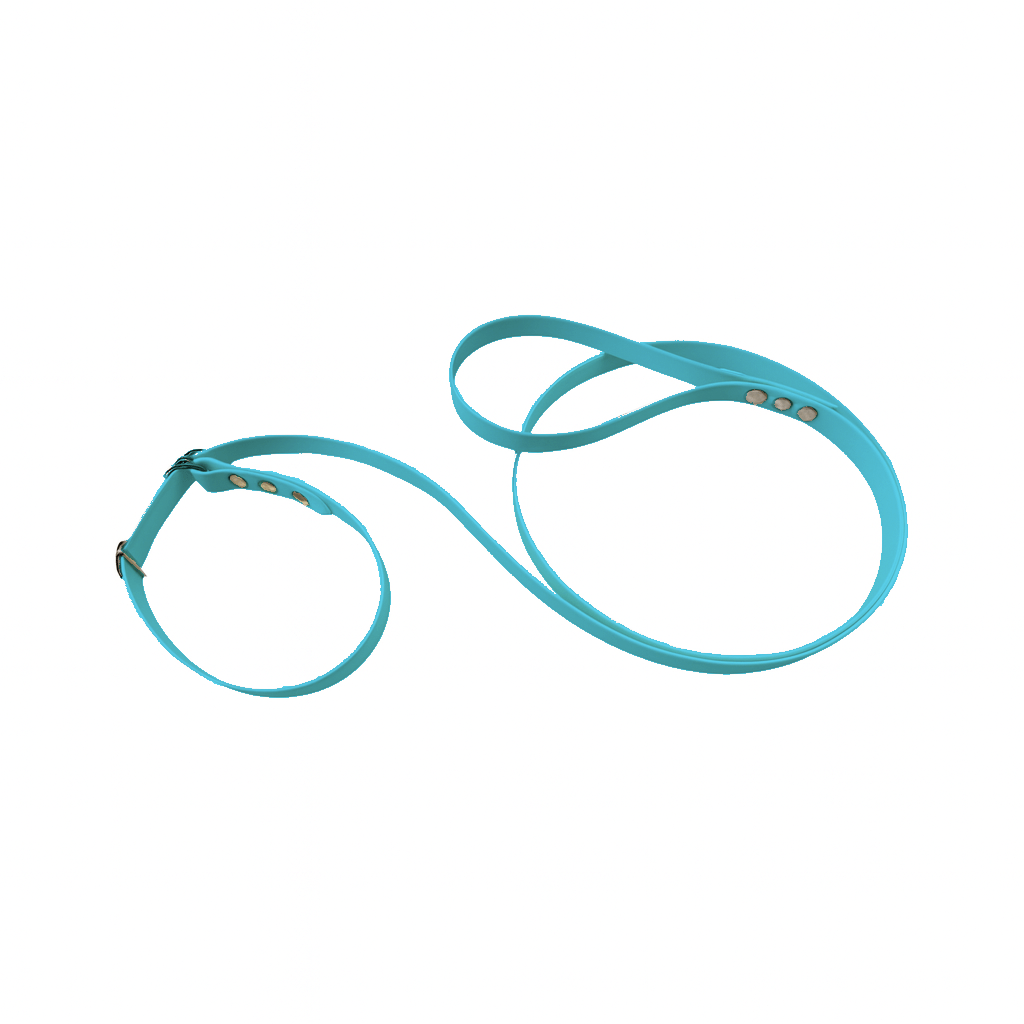 L'atelier du Fourmilier Laisse martingale Bleu Clair Laisse martingale en BioThane – Largeurs 19 mm ou 25 mm