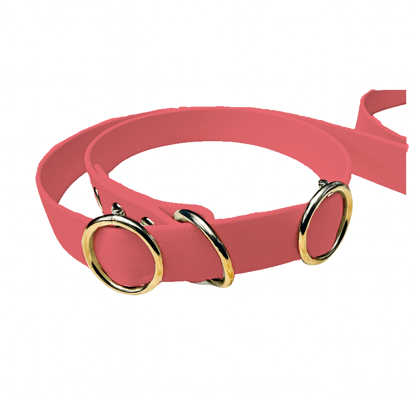 L'atelier du Fourmilier Laisse martingale Laisse martingale en BioThane – Largeurs 19 mm ou 25 mm