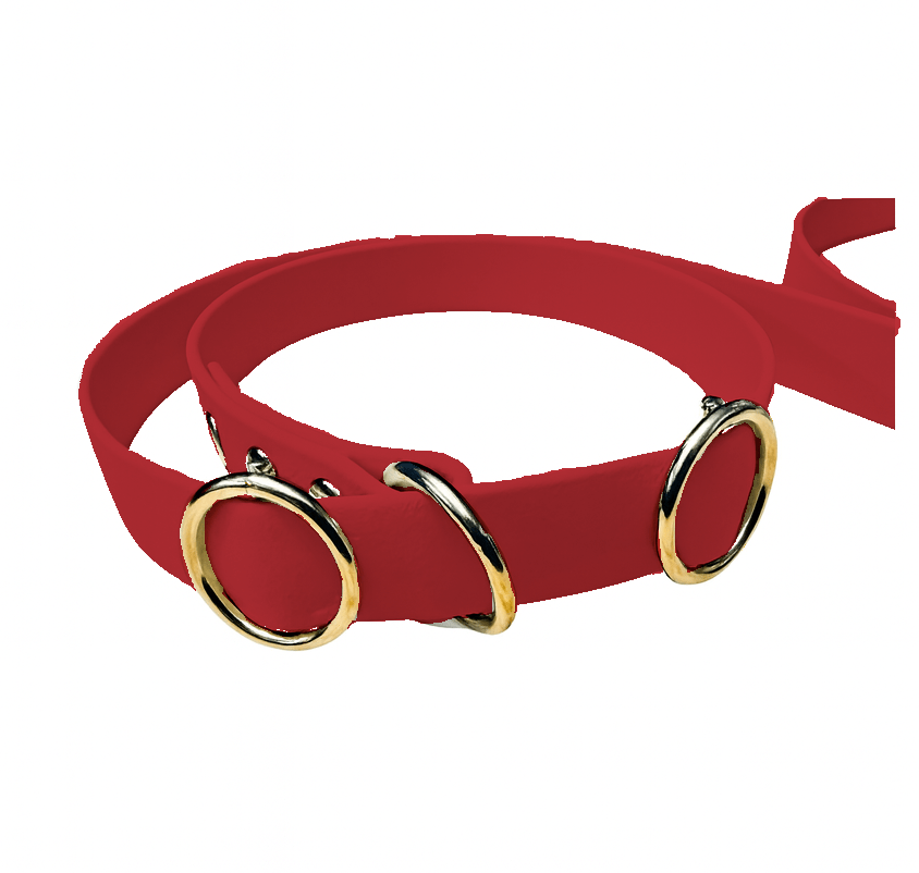 L'atelier du Fourmilier Laisse martingale Laisse martingale en BioThane – Largeurs 19 mm ou 25 mm