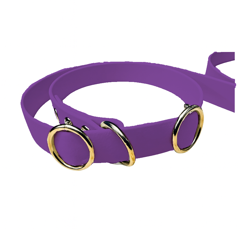 L'atelier du Fourmilier Laisse martingale Laisse martingale en BioThane – Largeurs 19 mm ou 25 mm