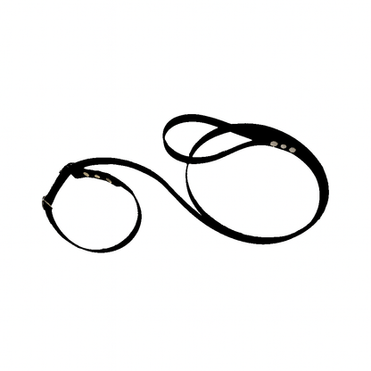 L'atelier du Fourmilier Laisse martingale Noir Laisse martingale en BioThane – Largeurs 19 mm ou 25 mm