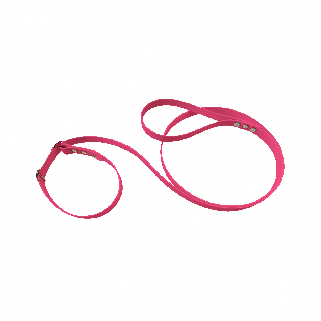 L'atelier du Fourmilier Laisse martingale Rose Fluo Laisse martingale en BioThane – Largeurs 19 mm ou 25 mm