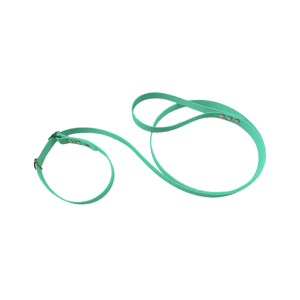 L'atelier du Fourmilier Laisse martingale Vert Caribéen Laisse martingale en BioThane – Largeurs 19 mm ou 25 mm
