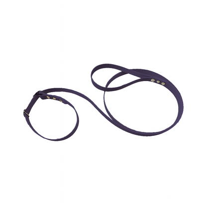 L'atelier du Fourmilier Laisse martingale Violet Laisse martingale en BioThane – Largeurs 19 mm ou 25 mm