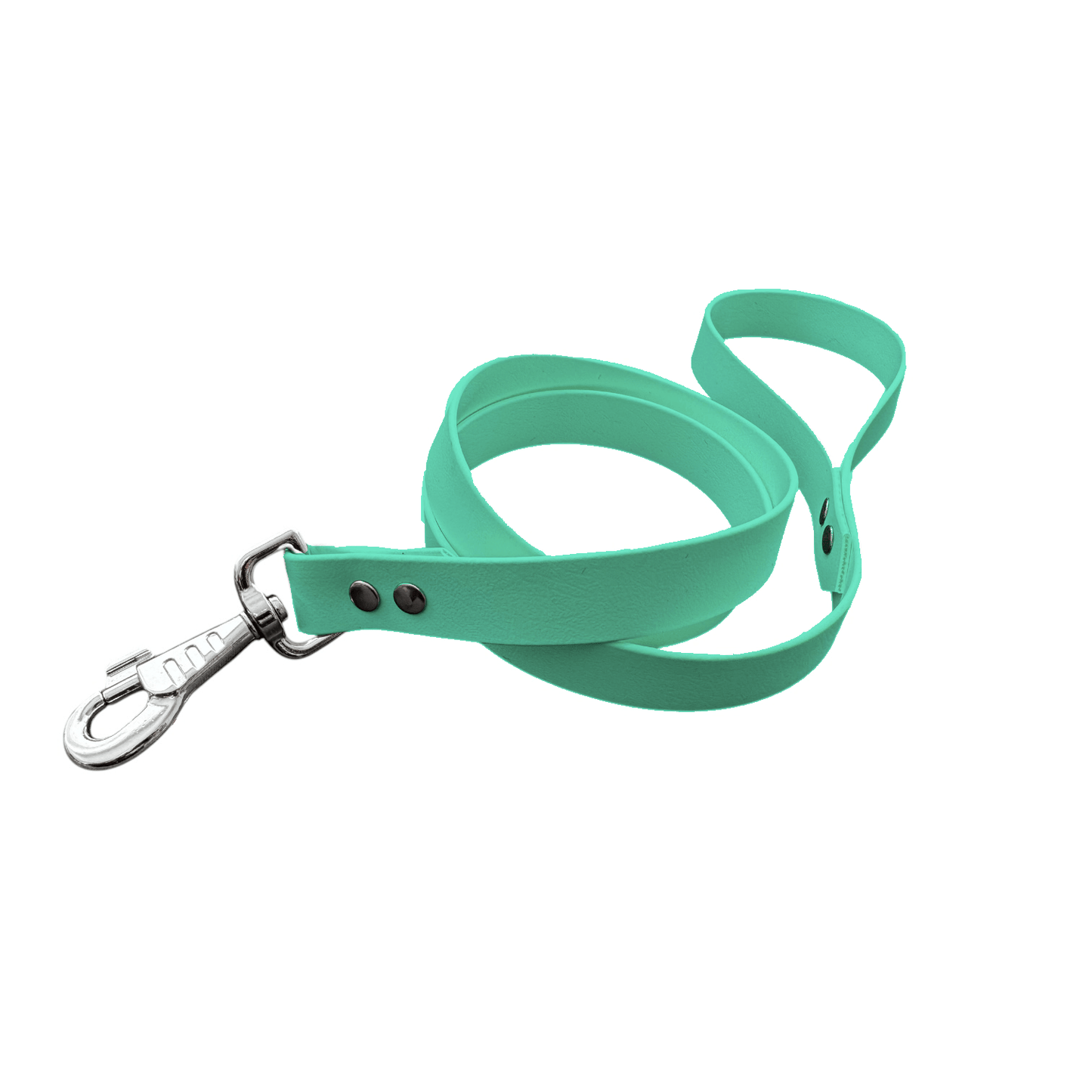 L'atelier du Fourmilier laisse personnalisable Vert Caribéen / 19 mm Laisse personnalisable, coloris et largeur au choix