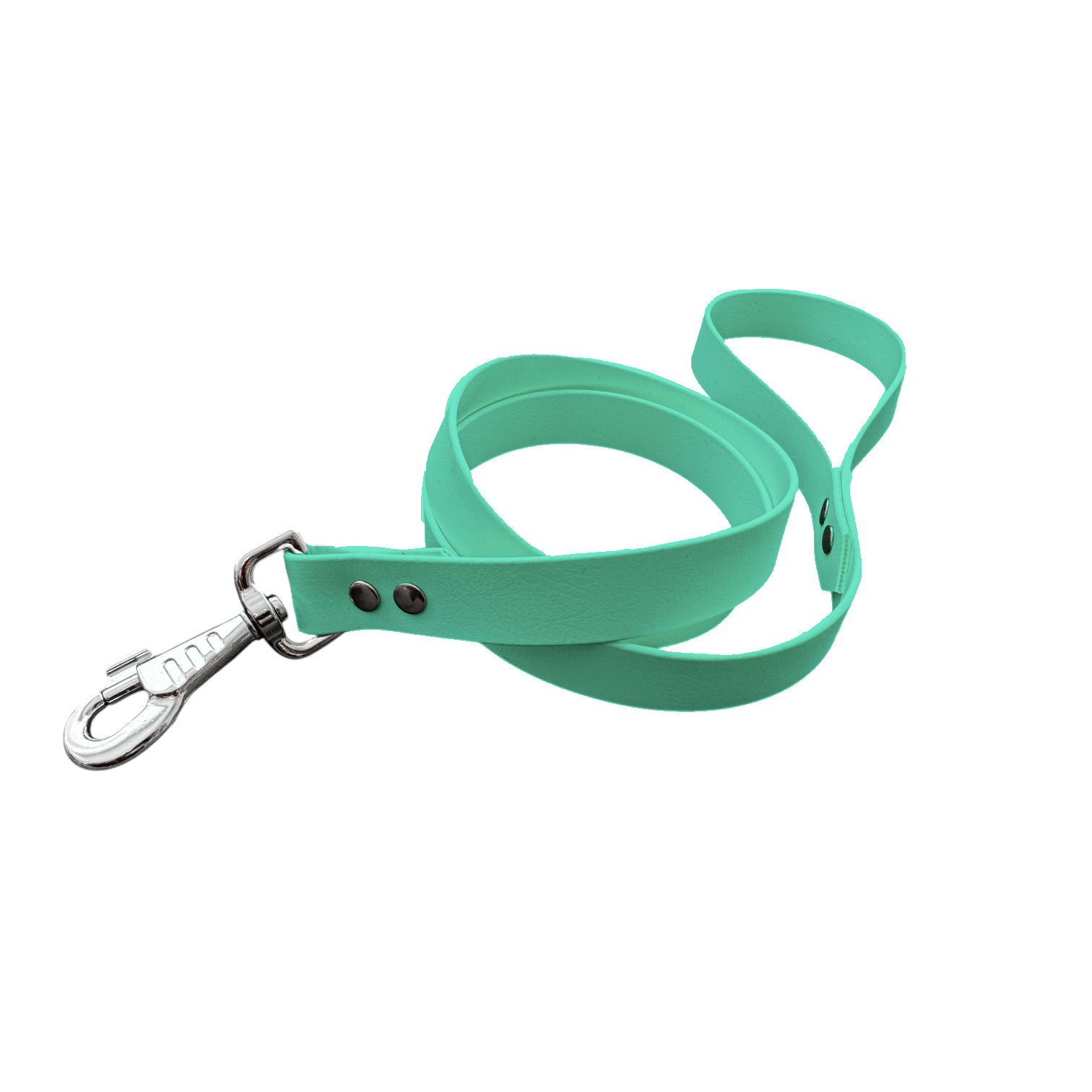 L'atelier du Fourmilier laisse personnalisable Vert Caribéen / 19 mm Laisse personnalisable, coloris et largeur au choix