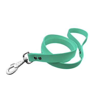 L'atelier du Fourmilier laisse personnalisable Vert Caribéen / 19 mm Laisse personnalisable, coloris et largeur au choix