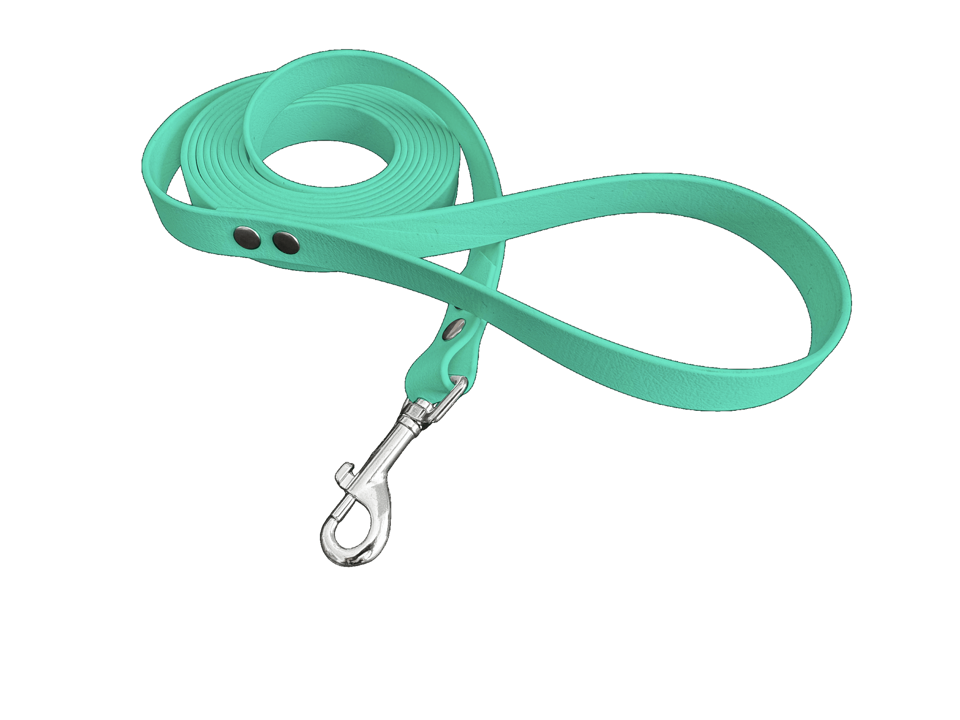 L'atelier du Fourmilier Laisse Vert Caribéen Longe en BioThane personnalisable – Largeurs 19 mm ou 25 mm – Longueur au choix jusqu'à 20 mètres