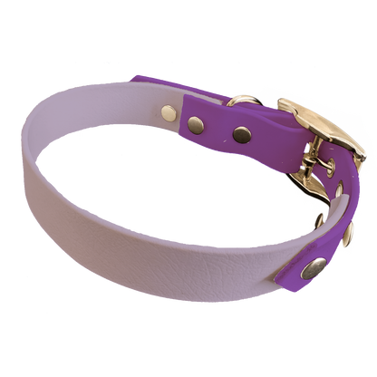 Collier Bicolore en BioThane®  19 mm – coloris personnalisable