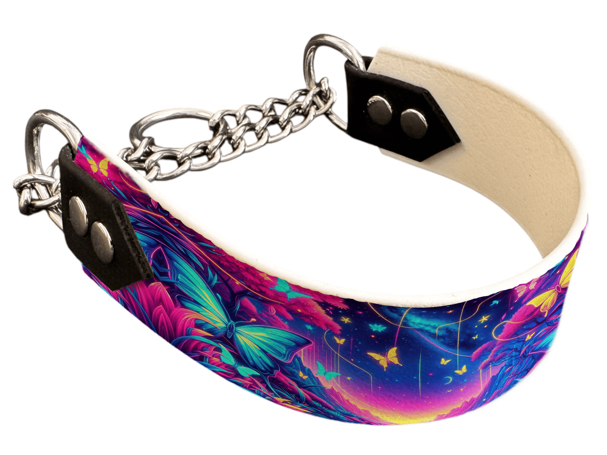 L'atelier du Fourmilier Martingales 102 Martingale pour chien en BioThane® imprimé – Collection insectes– 38mm