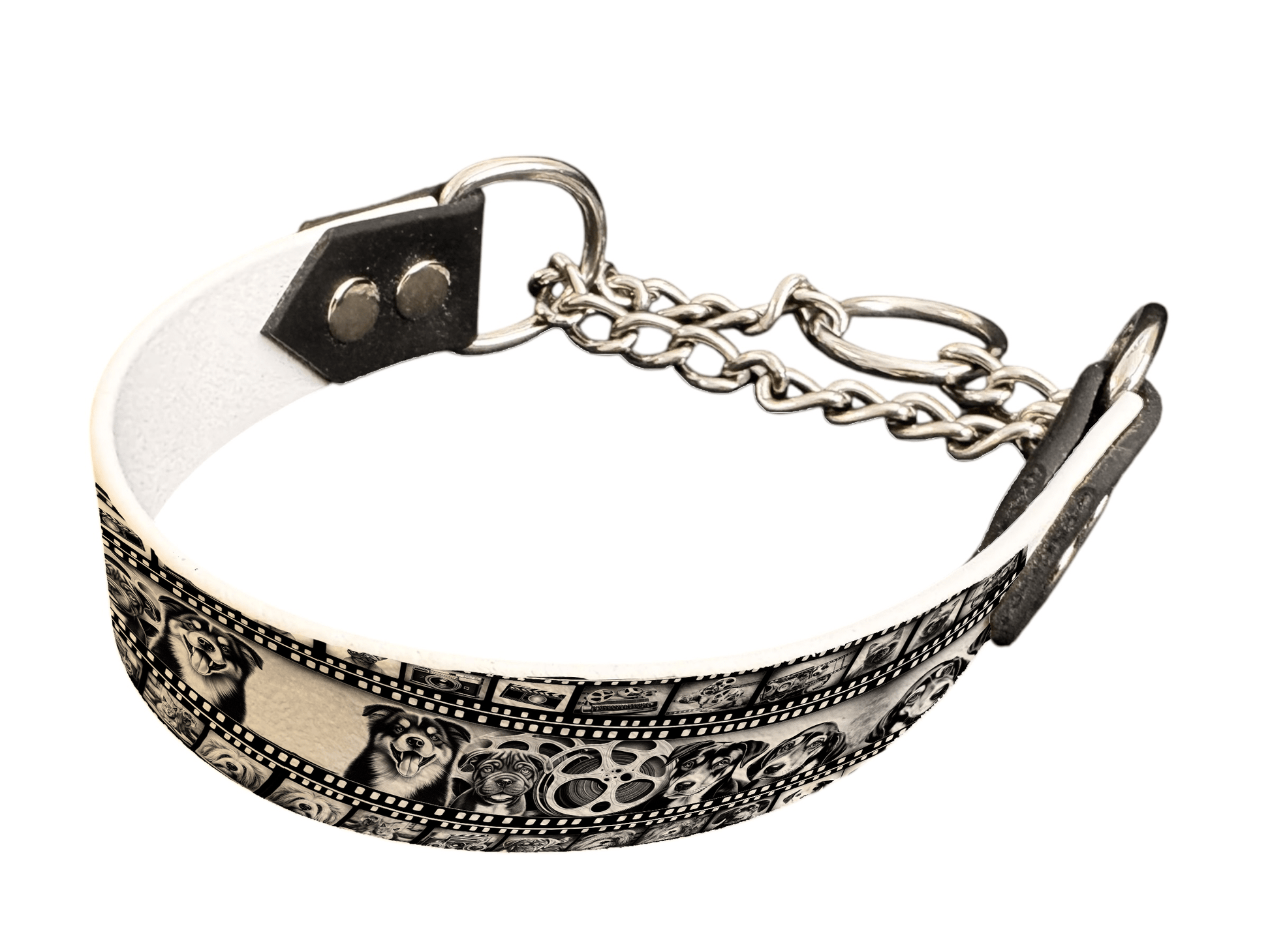 L'atelier du Fourmilier Martingales 105 Martingale pour chien en BioThane® imprimé – Collection chiens– 25mm