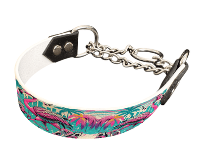 L'atelier du Fourmilier Martingales 108 Martingale pour chien en BioThane® imprimé – Collection pop art– 25mm