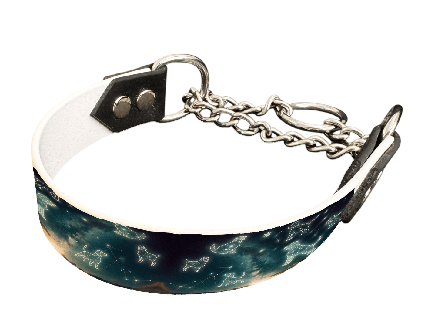 L'atelier du Fourmilier Martingales 111 Martingale pour chien en BioThane® imprimé – Collection galaxie – 25mm