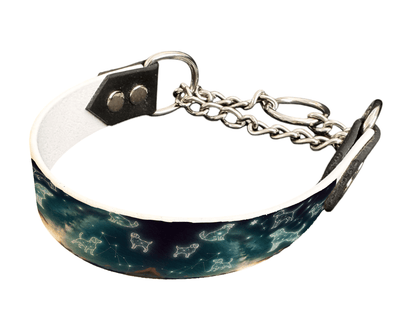 L'atelier du Fourmilier Martingales 111 Martingale pour chien en BioThane® imprimé – Collection galaxie – 25mm