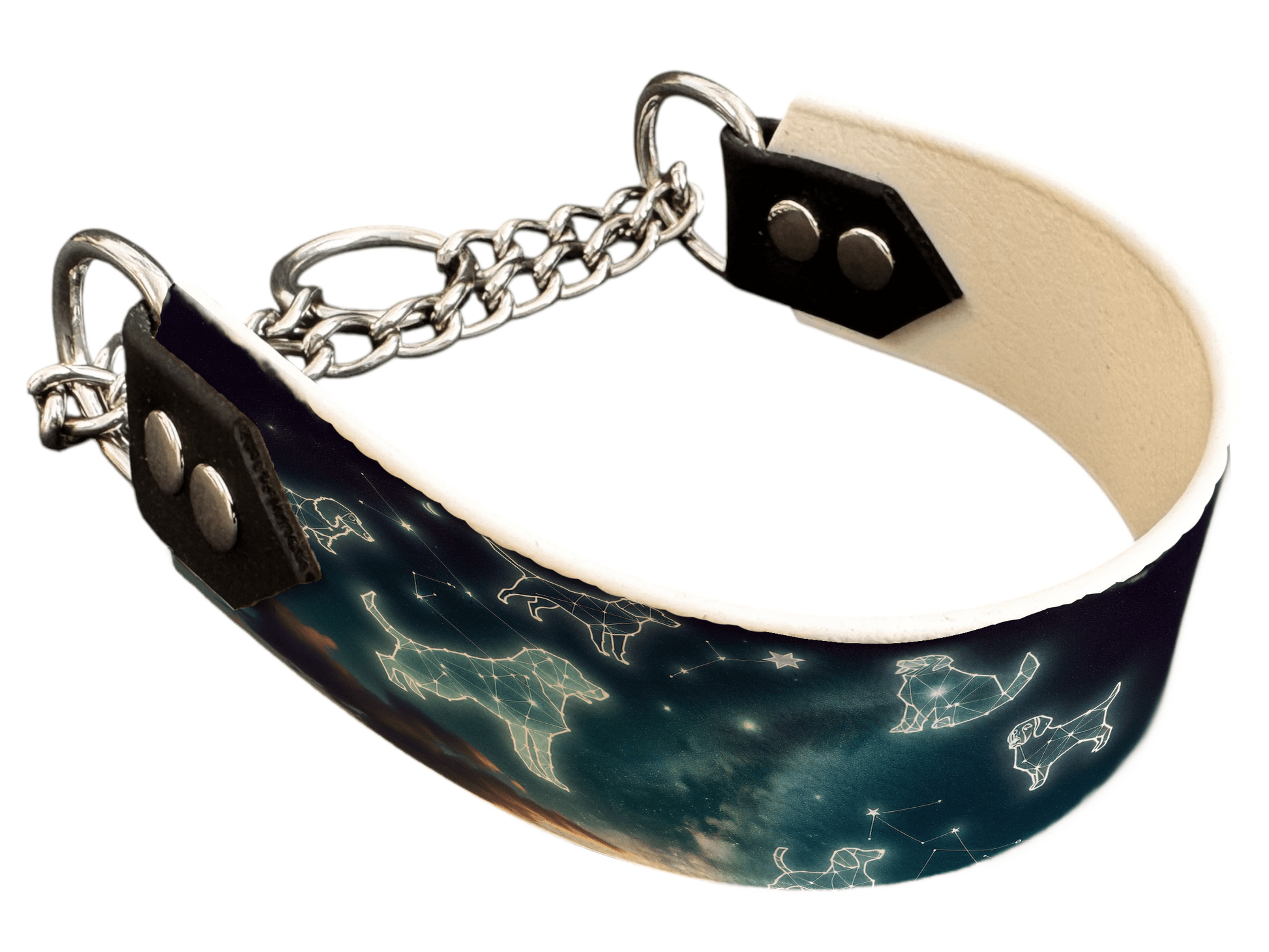 L'atelier du Fourmilier Martingales 111 Martingale pour chien en BioThane® imprimé – Collection galaxie – 38mm