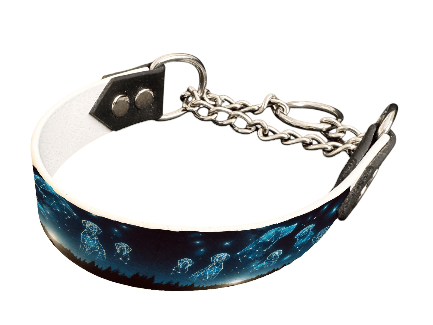 L'atelier du Fourmilier Martingales 113 Martingale pour chien en BioThane® imprimé – Collection galaxie – 25mm