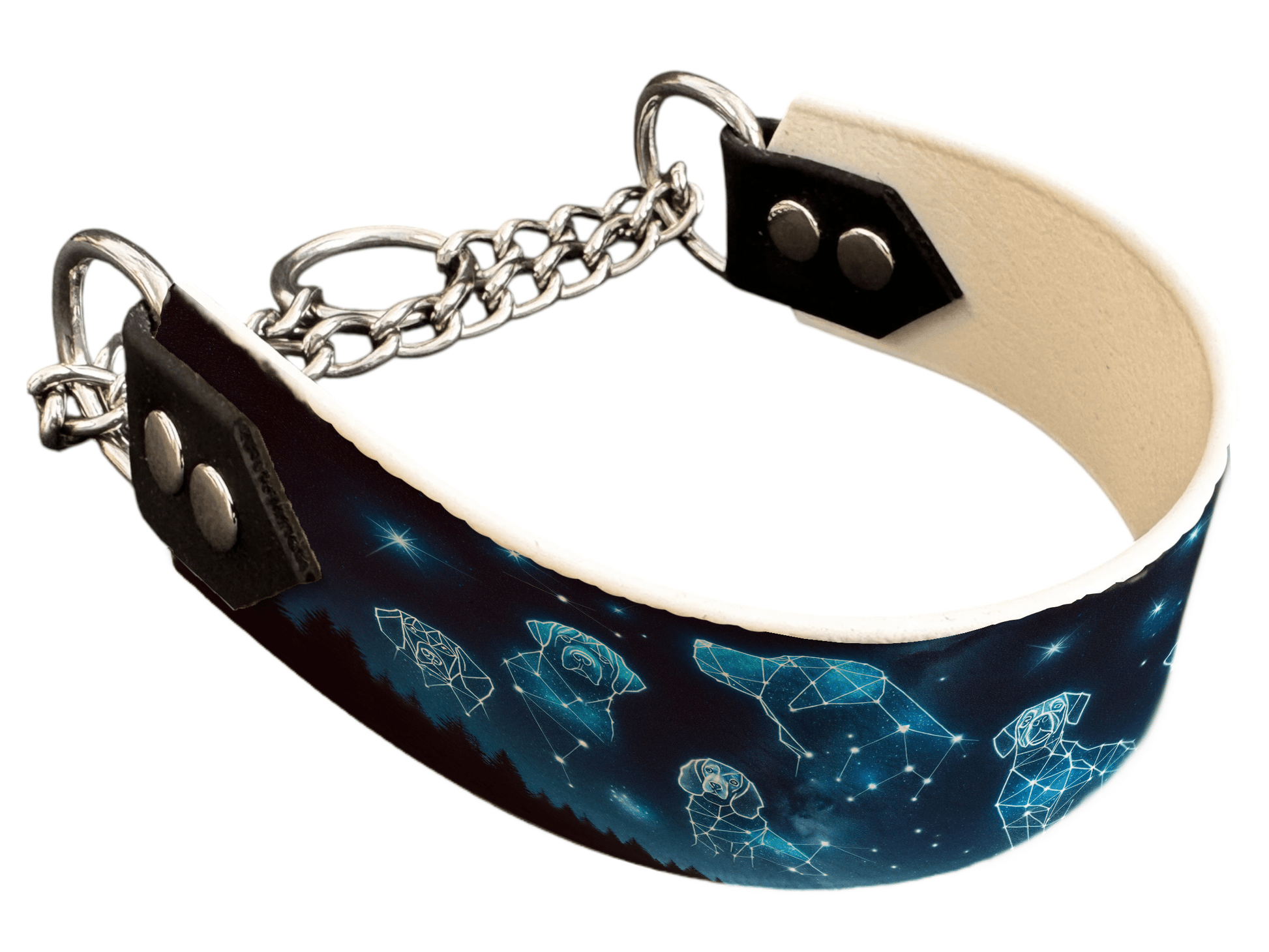 L'atelier du Fourmilier Martingales 113 Martingale pour chien en BioThane® imprimé – Collection galaxie – 38mm