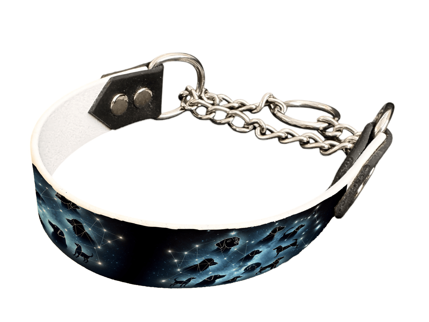 L'atelier du Fourmilier Martingales 114 Martingale pour chien en BioThane® imprimé – Collection galaxie – 25mm