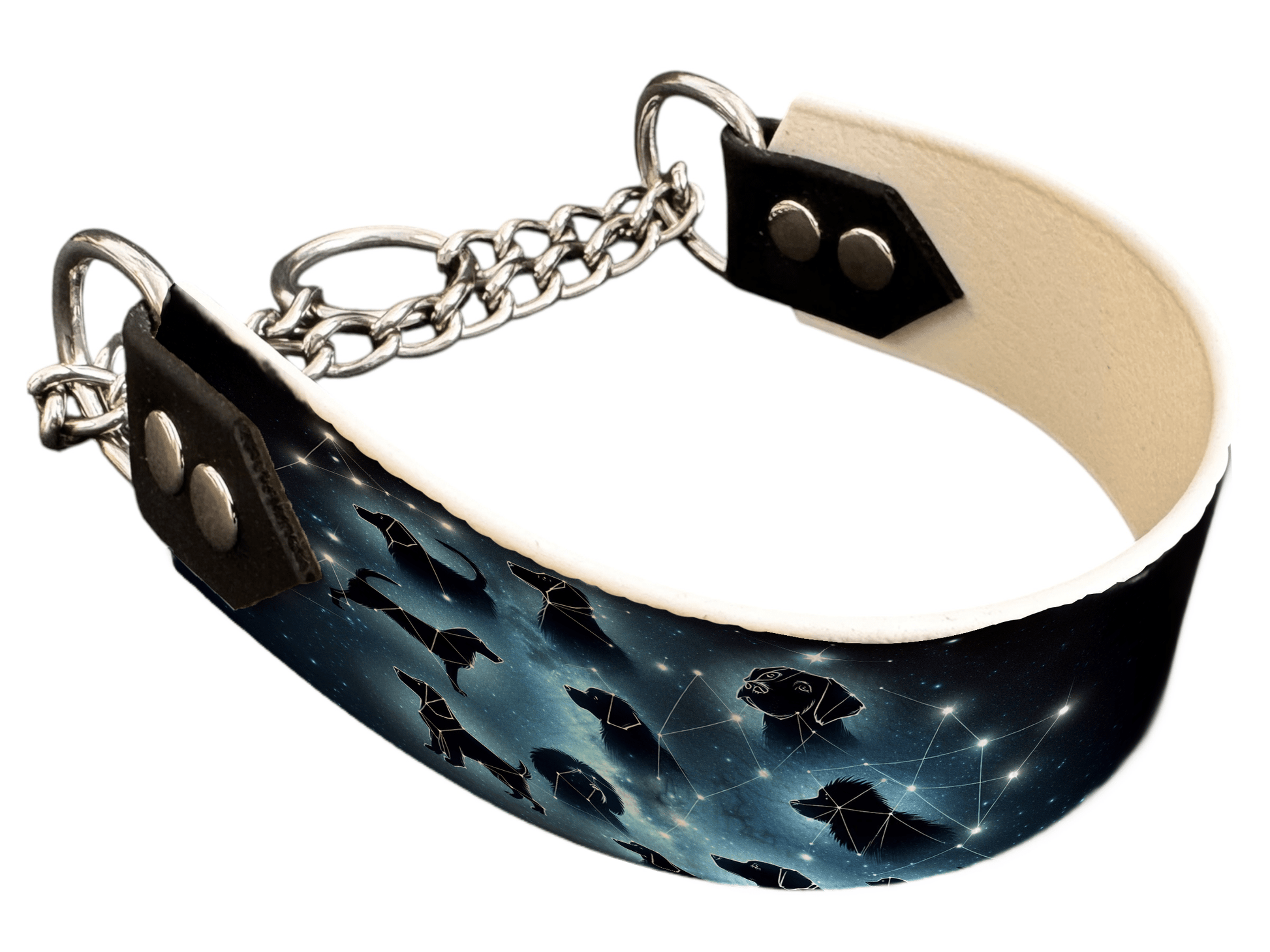 L'atelier du Fourmilier Martingales 114 Martingale pour chien en BioThane® imprimé – Collection galaxie – 38mm
