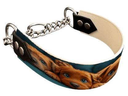 L'atelier du Fourmilier Martingales 182 Martingale pour chien en BioThane® imprimé – Collection chiens– 38mm