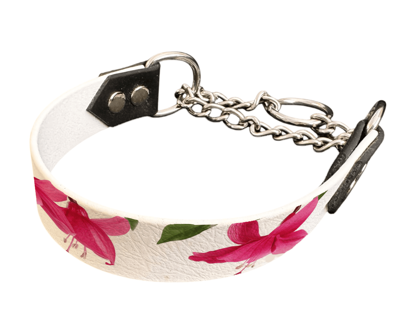 L'atelier du Fourmilier Martingales 218 Martingale pour chien en BioThane® imprimé – Collection plantes et fleurs – 25mm