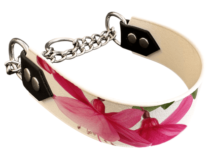 L'atelier du Fourmilier Martingales 218 Martingale pour chien en BioThane® imprimé – Collection plantes et fleurs – 38mm