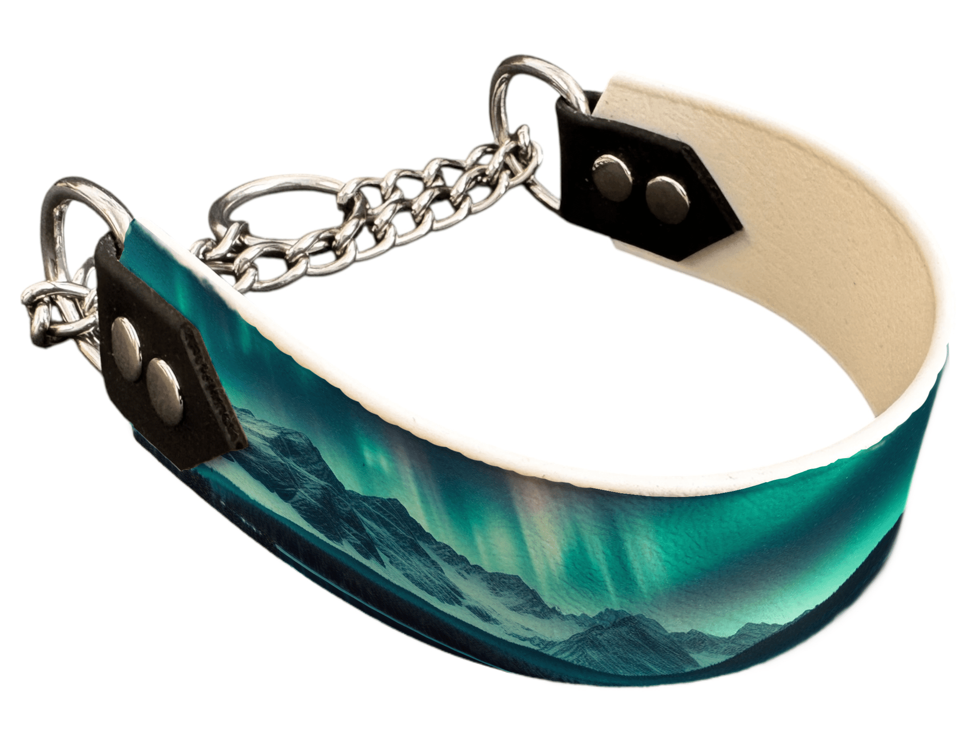 L'atelier du Fourmilier Martingales 22 Martingale pour chien en BioThane® imprimé – Collection paysage– 38mm