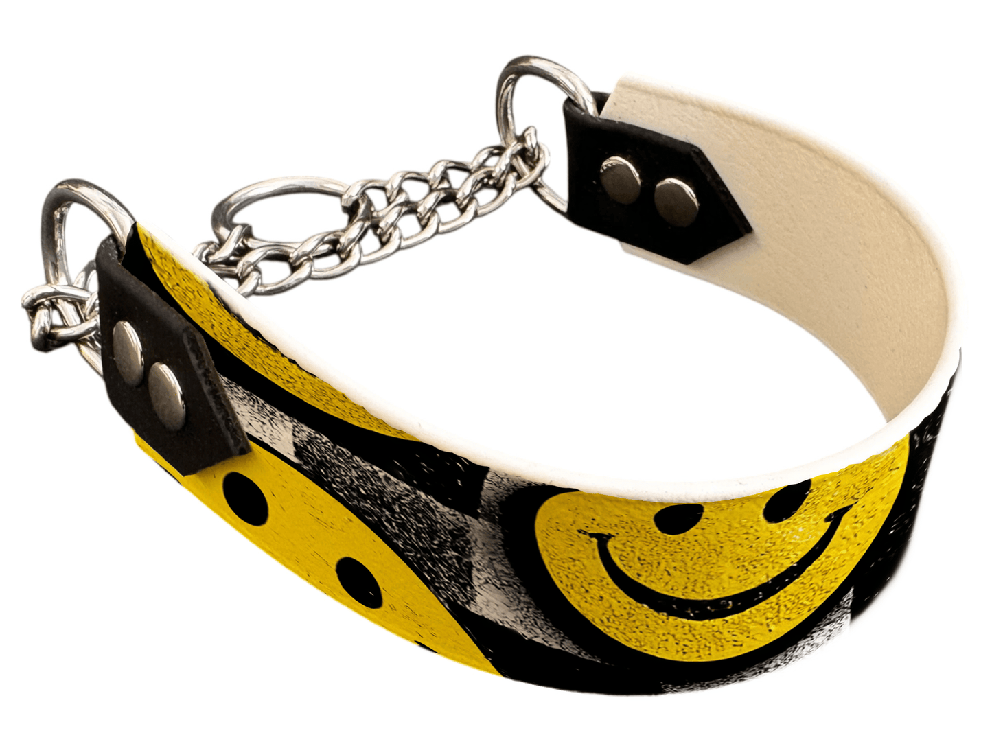 L'atelier du Fourmilier Martingales 247 Martingale pour chien en BioThane® imprimé – Collection pop art– 38mm