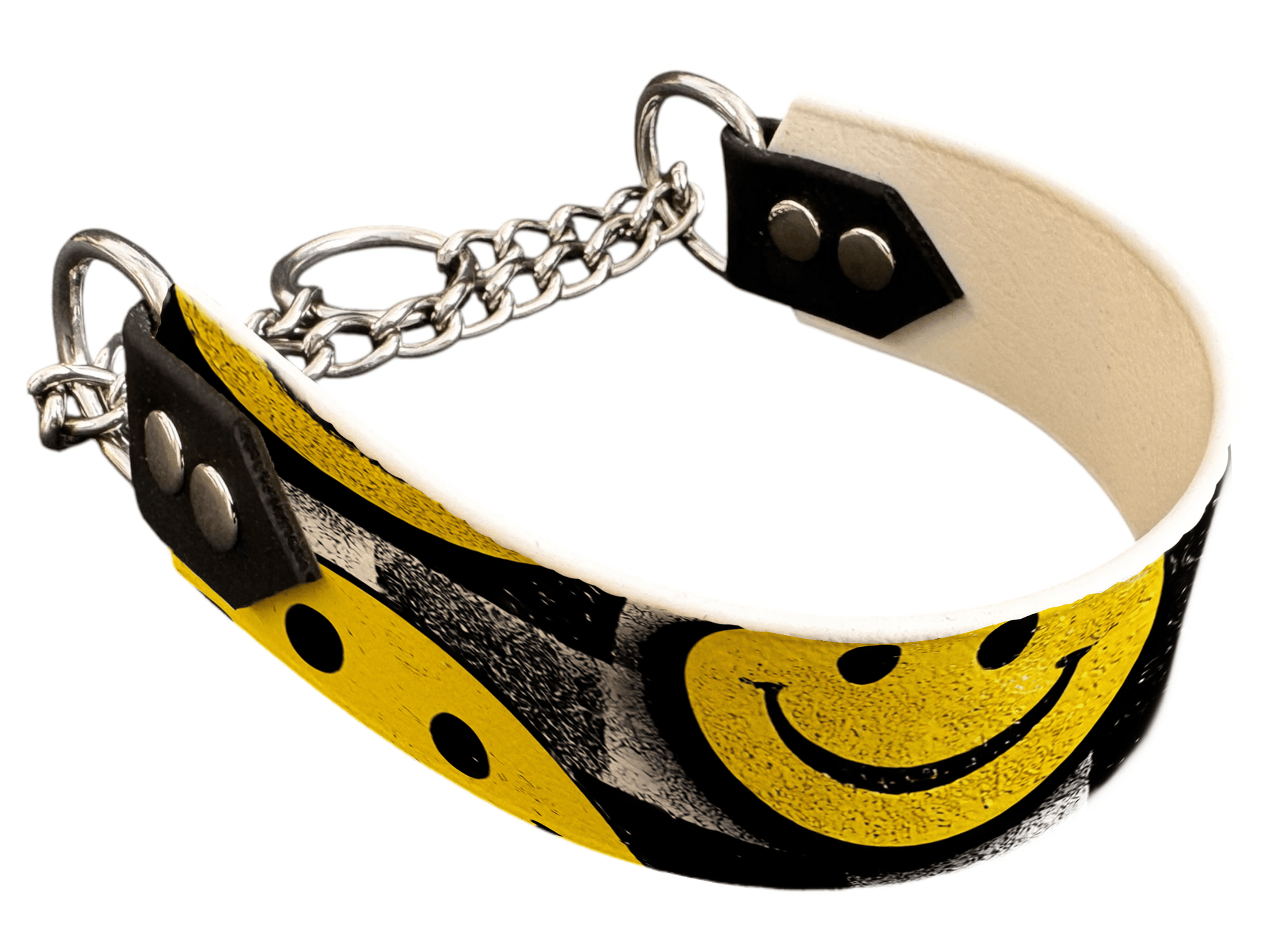 L'atelier du Fourmilier Martingales 247 Martingale pour chien en BioThane® imprimé – Collection pop art– 38mm