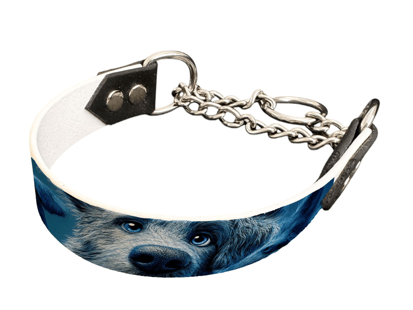 L'atelier du Fourmilier Martingales 25 232 Martingale pour chien en BioThane® imprimé – Collection chiens– 25mm