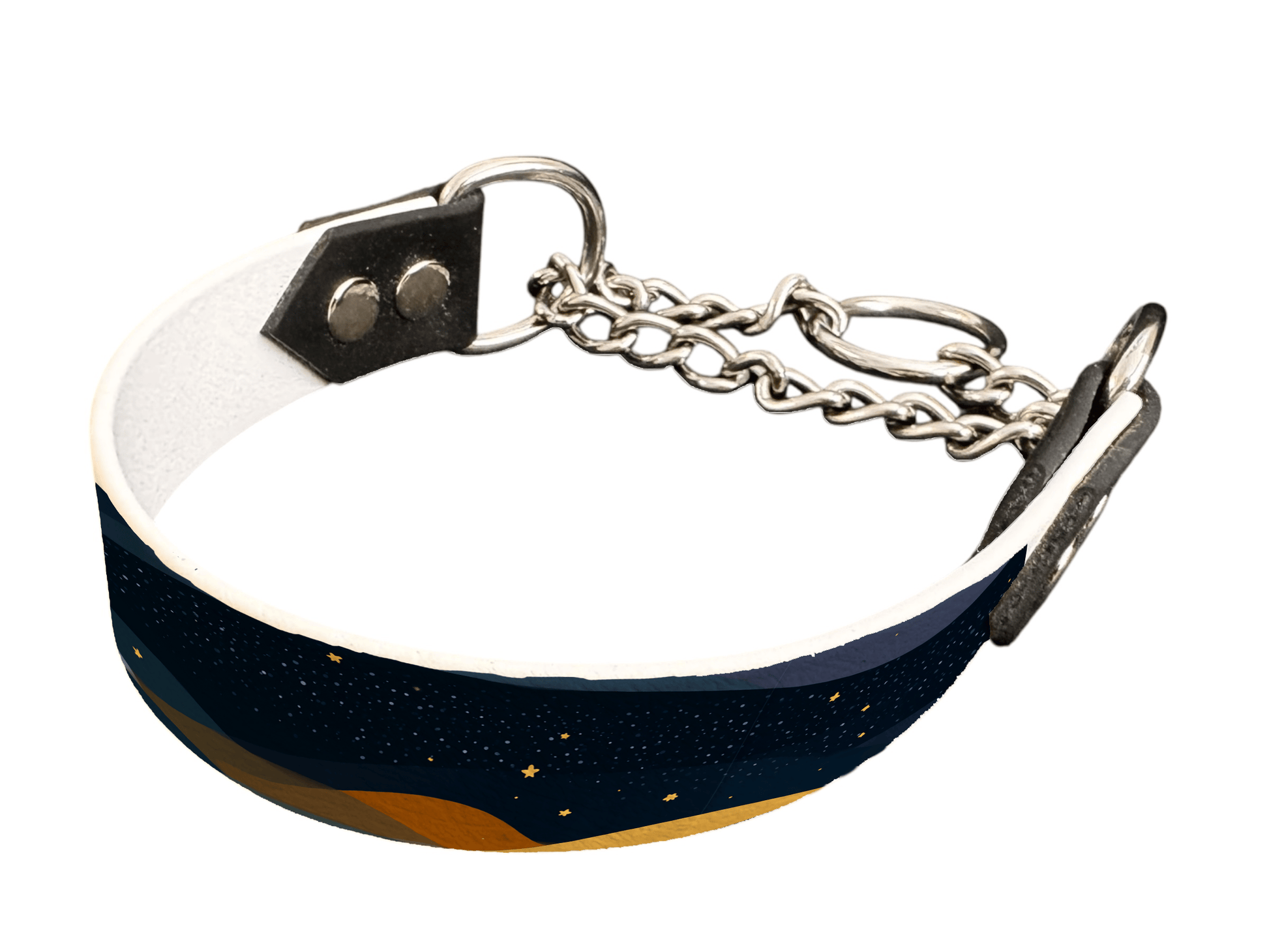 L'atelier du Fourmilier Martingales 25 415 Martingale pour chien en BioThane® imprimé – Collection paysage– 25mm