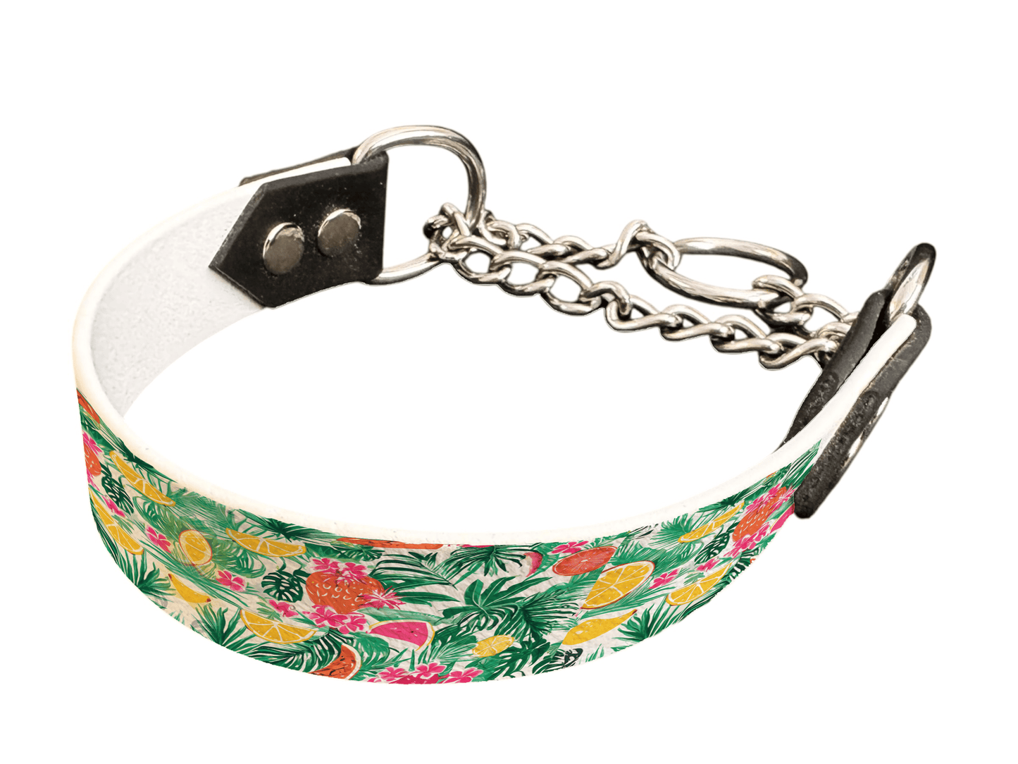 L'atelier du Fourmilier Martingales 25 Martingale pour chien en BioThane® imprimé – Collection plantes et fleurs – 25mm