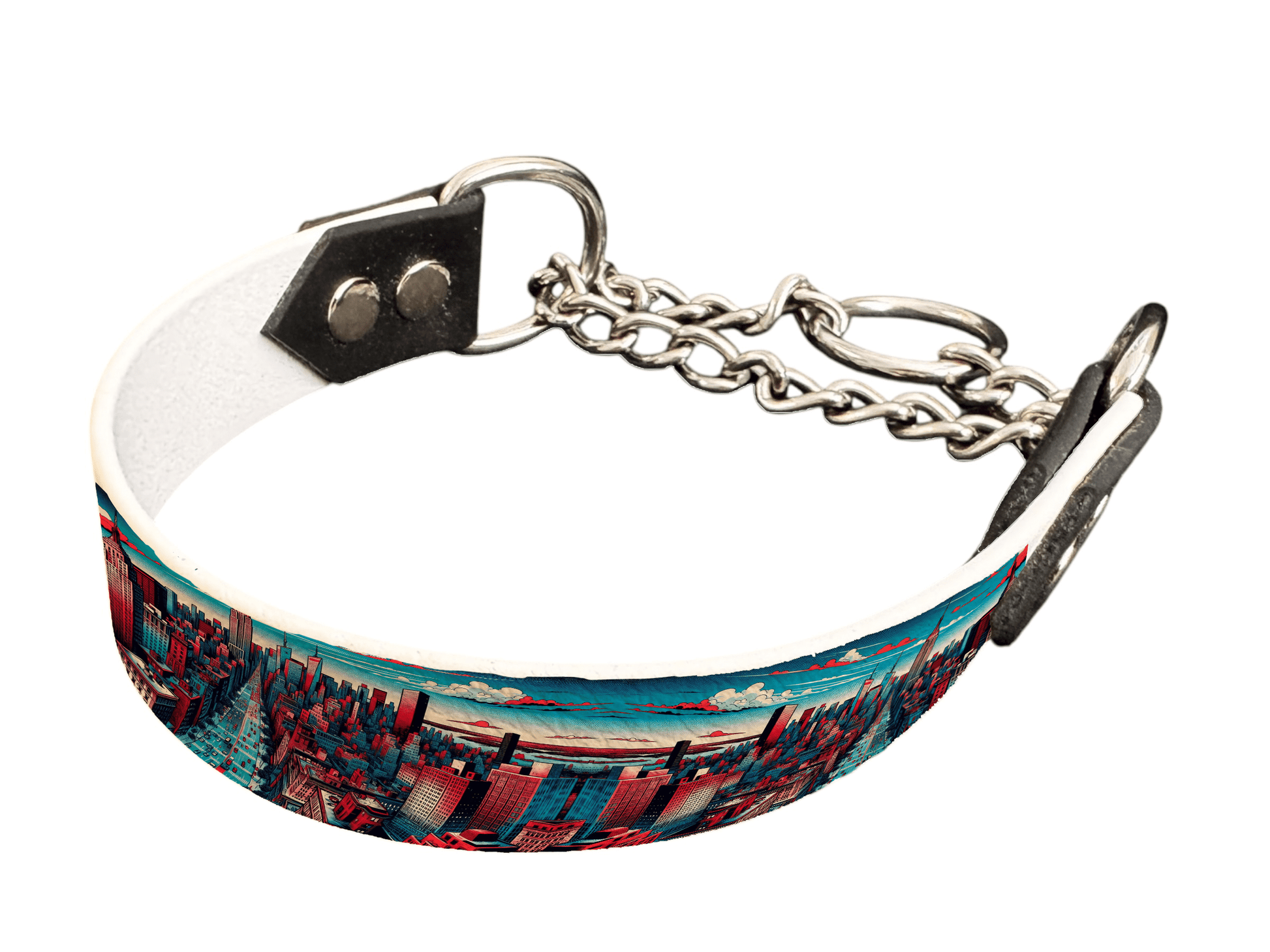 L'atelier du Fourmilier Martingales 256 Martingale pour chien en BioThane® imprimé – Collection pop art– 25mm