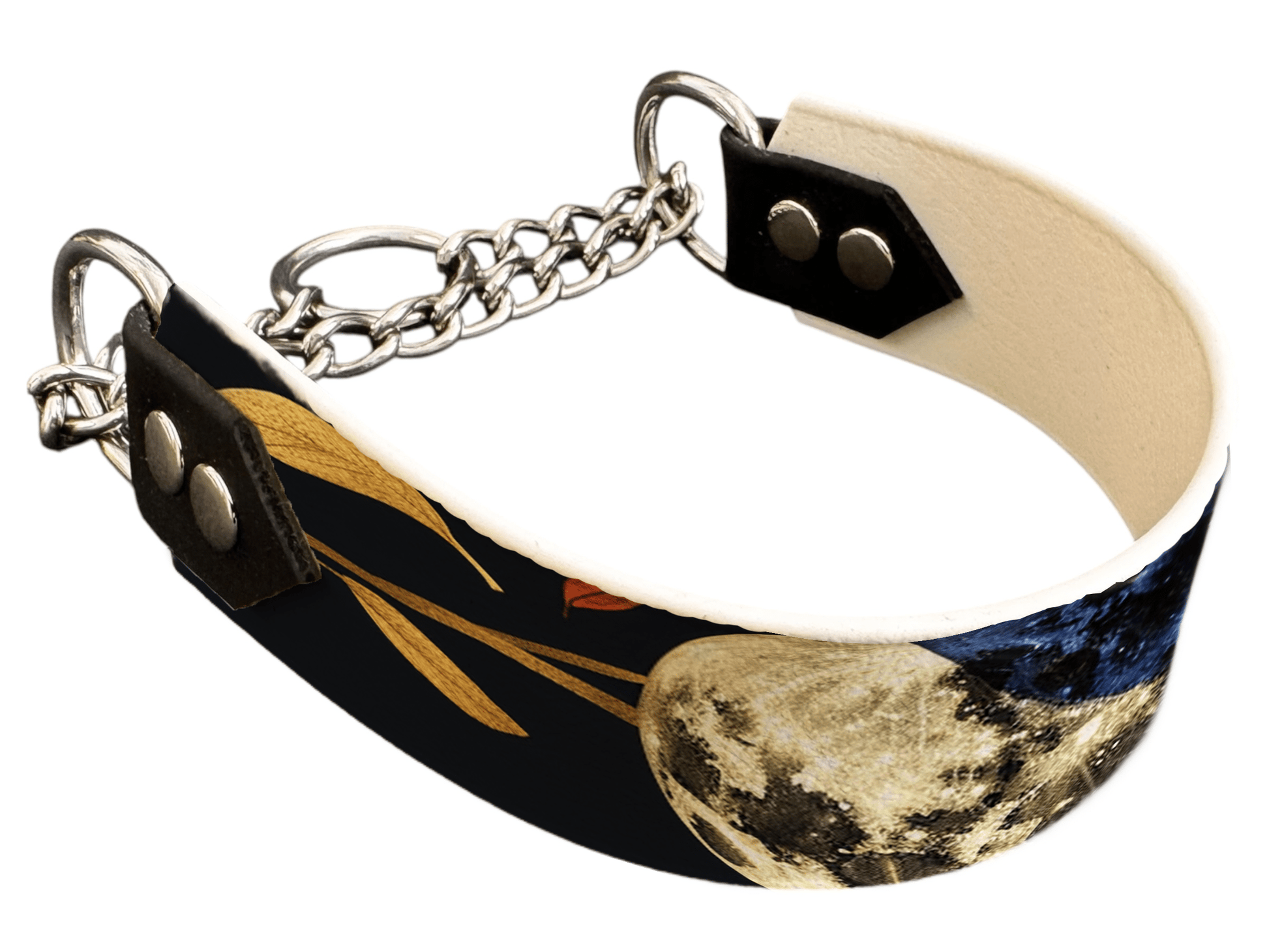 L'atelier du Fourmilier Martingales 297 Martingale pour chien en BioThane® imprimé – Collection galaxie – 38mm