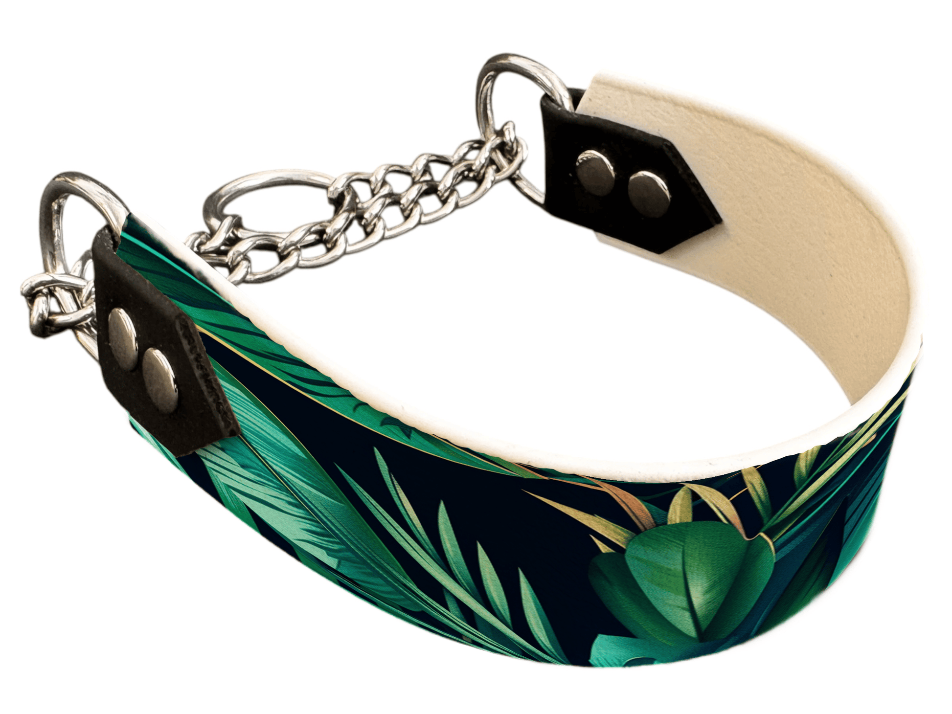 L'atelier du Fourmilier Martingales 298 Martingale pour chien en BioThane® imprimé – Collection plantes et fleurs – 38mm