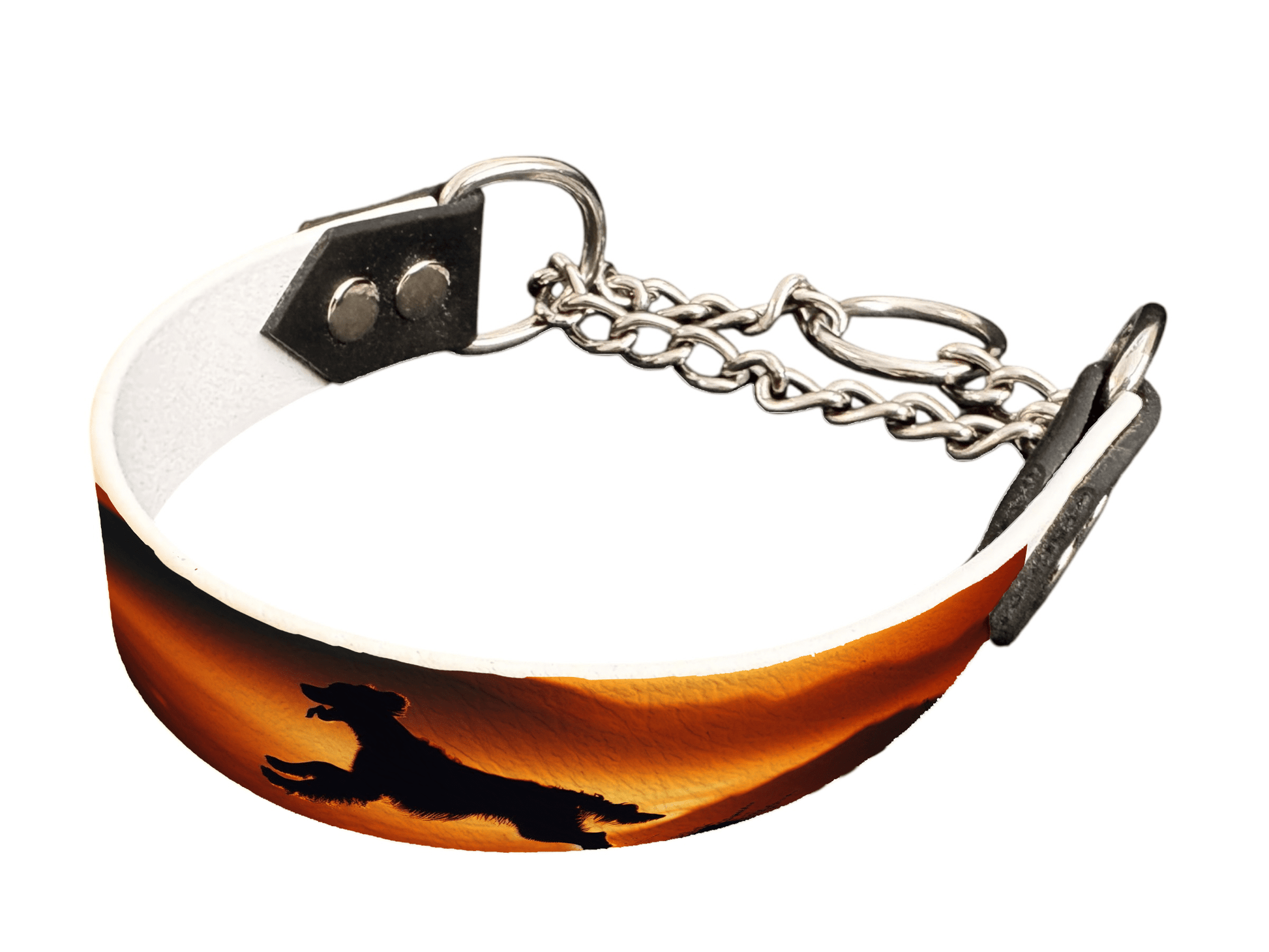 L'atelier du Fourmilier Martingales 33 Martingale pour chien en BioThane® imprimé – Collection chiens– 25mm