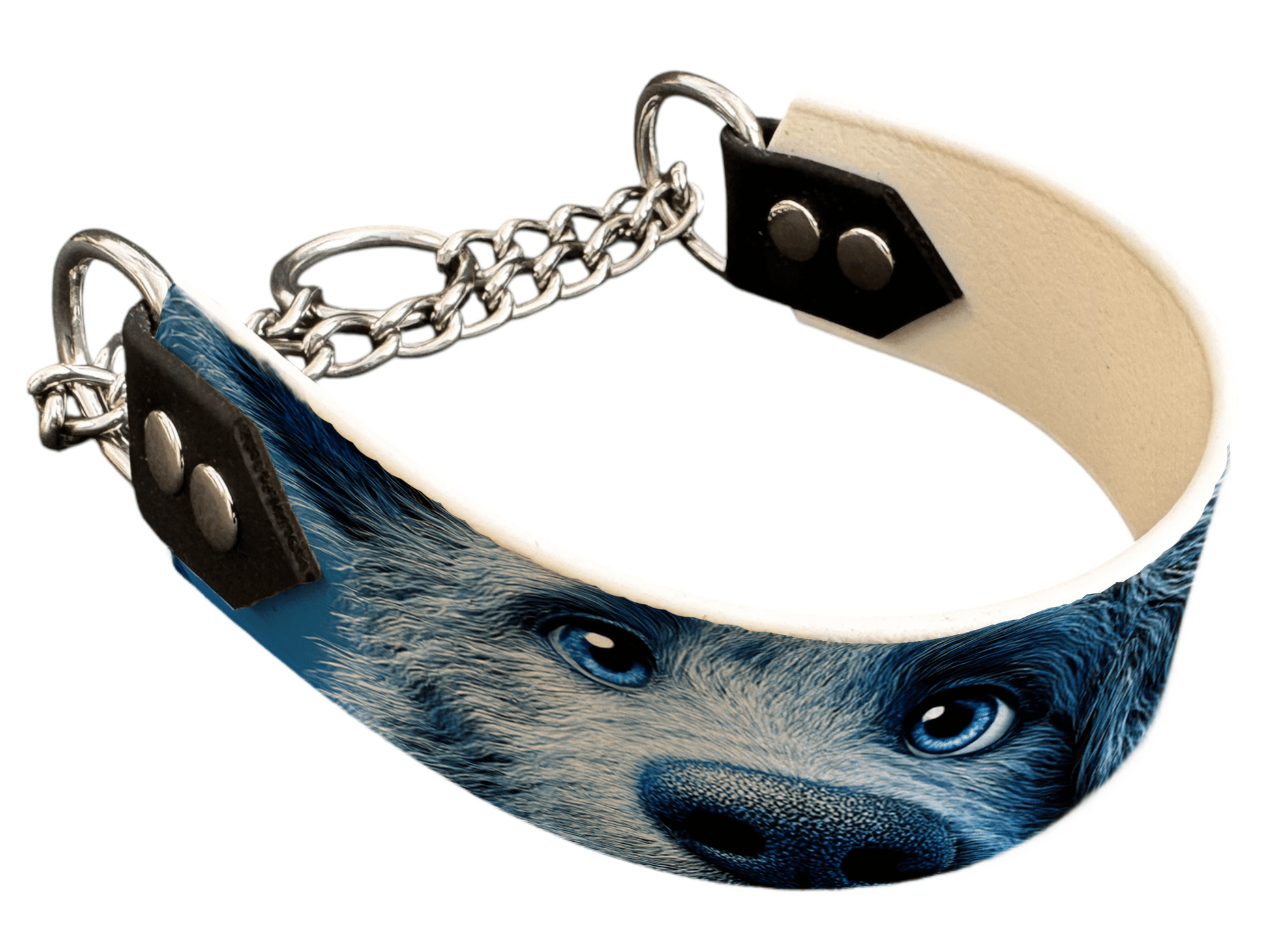 L'atelier du Fourmilier Martingales 40 232 Martingale pour chien en BioThane® imprimé – Collection chiens– 38mm