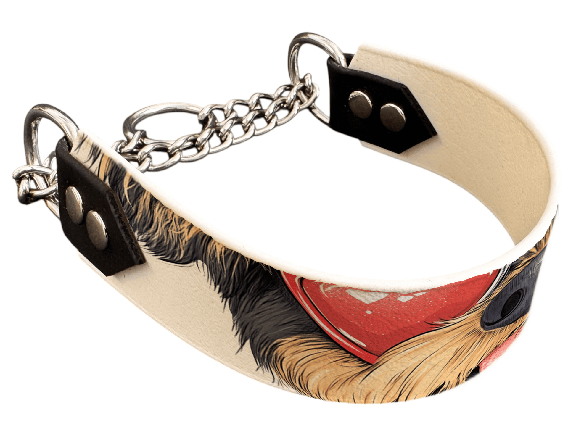 L'atelier du Fourmilier Martingales 40 254 Martingale pour chien en BioThane® imprimé – Collection chiens– 38mm