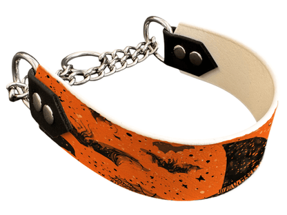 L'atelier du Fourmilier Martingales 40 290 Martingale pour chien en BioThane® imprimé – Collection Halloween– 38mm