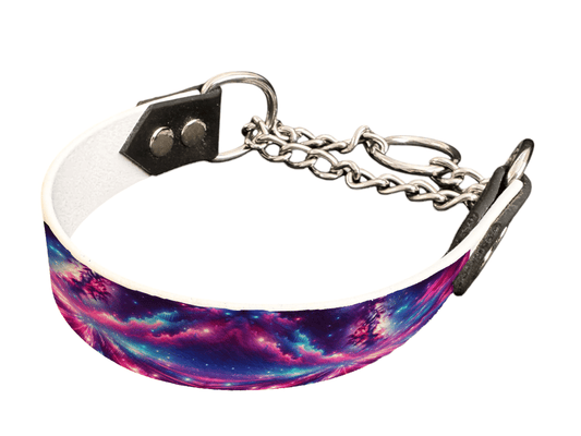 L'atelier du Fourmilier Martingales 43 Martingale pour chien en BioThane® imprimé – Collection galaxie – 25mm
